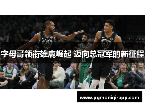字母哥领衔雄鹿崛起 迈向总冠军的新征程