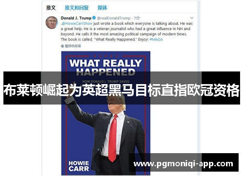 布莱顿崛起为英超黑马目标直指欧冠资格